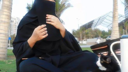 娱乐吃瓜君男团,娱乐吃瓜君带你揭秘男团背后的故事与魅力